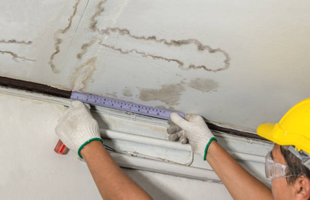 Reliable Emergency Water Damage Restoration contractor in Newburg, WV by Water Damage Irwin